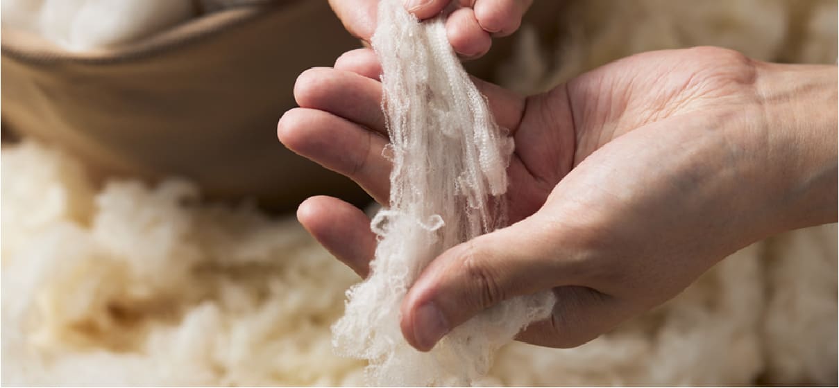 Resilience of wool from rumpled condition