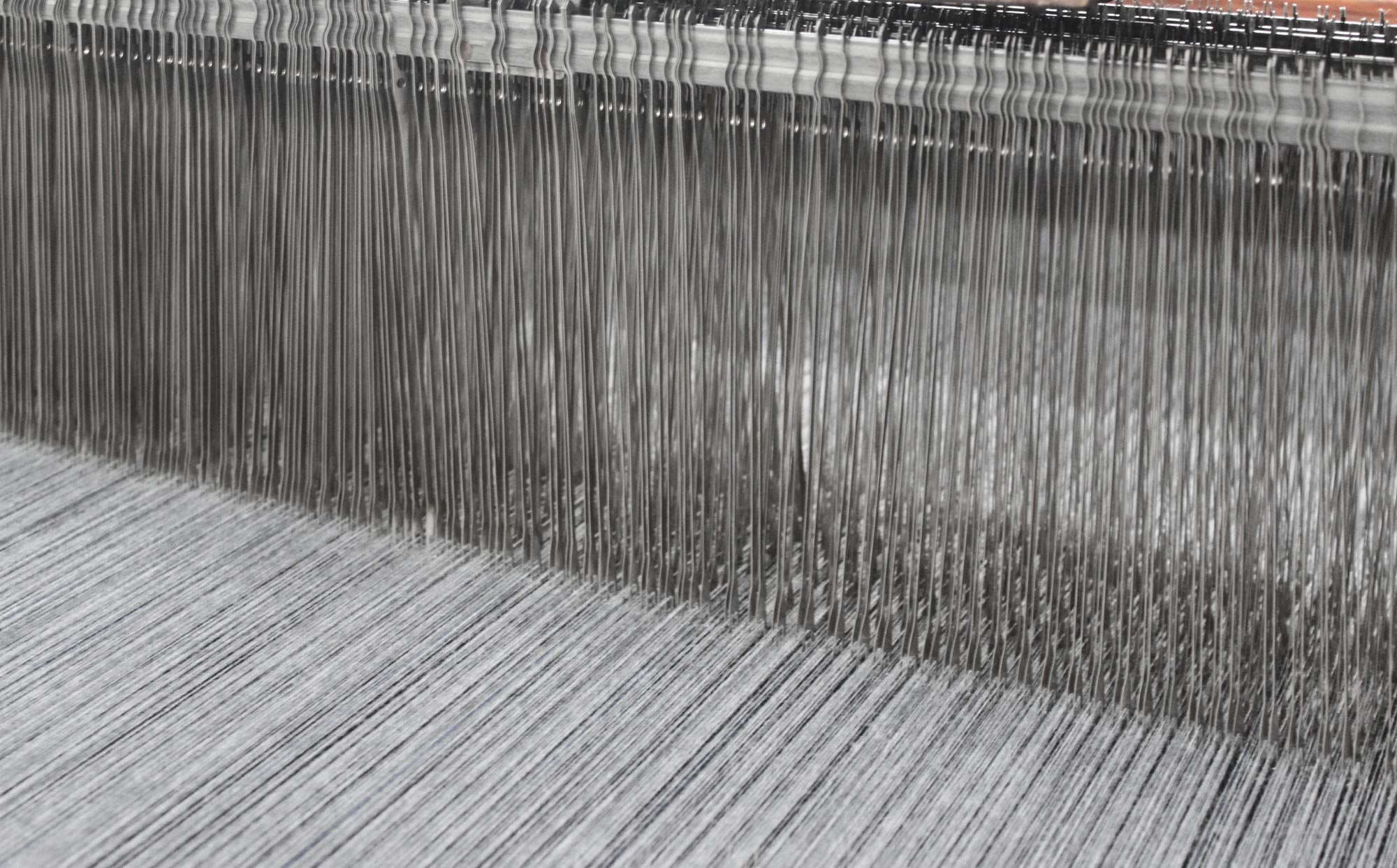 LIVE WITH WOOL ～ Made in NIKKE～